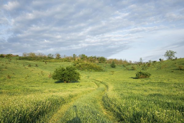Comment découvrir les traditions de la pêche au cormoran en Chine?