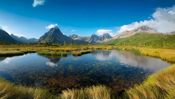 Comment organiser une visite des temples anciens en Thaïlande ?