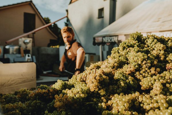 Top 5 raisons de choisir des produits naturels pour voyager sereinement